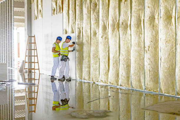 Best Types of Insulation in Orangevale, CA